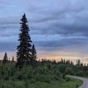 Northern Sunrise Greeting Card