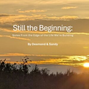 Still the Beginning: Notes from the Edge of the Life we are building.